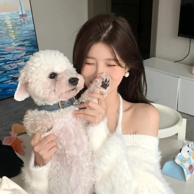 小查与寇弟的顶级冒险